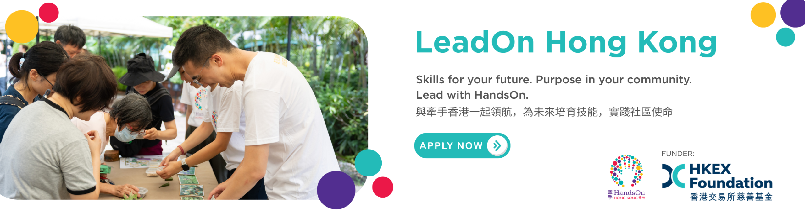 Website banner